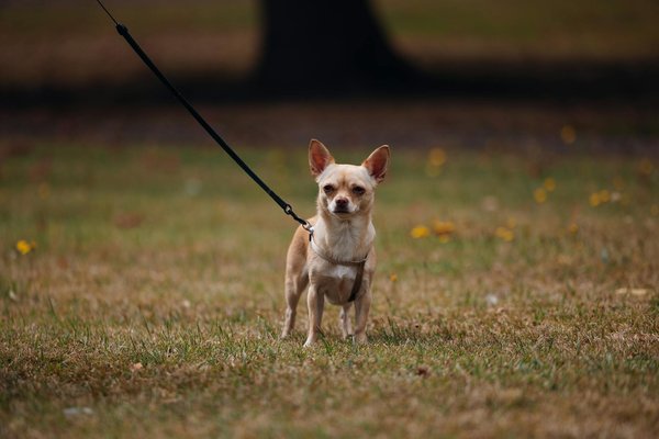 Mastering Real Estate Investment: Strategies for Thriving During Uncertain Times